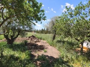 Finca Rustica granja de gallinas ecológicas