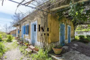 Finca en Azambuja