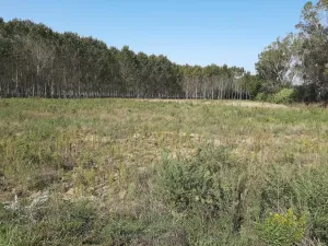 VENDO 3 HECTÁREAS DE TERRENO EN GIRONA