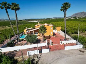 Finca Rustica en Orihuela