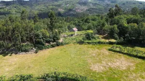 Finca en Fafe
