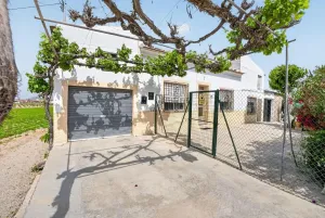 Finca rústica en Orihuela - Alicante