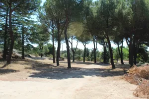 Finca exclusiva en Madrid Ref. 1549