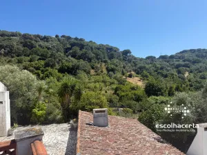Quinta unica em pleno coração da Arrabida