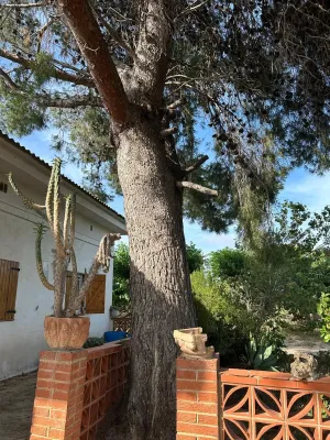 Finca Rústica en el Corazón de la montaña zona Camarles por €155,000