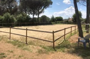 Casa con instalaciones para 5 caballos (REGA)