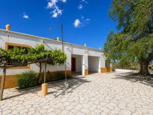🌿 TABERNAS Finca Rústica con Cortijo de 170 m2 const. y 6 Hectáreas de Terreno
