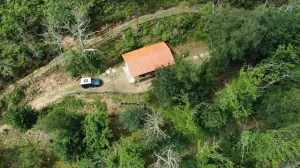 Encantadora Finca Rústica en Infiesto, Asturias por solo 59.000€