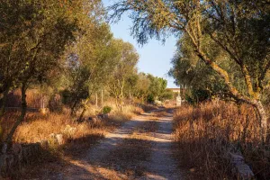 Tradicional finca en Es Figueral con piscina, privacidad y vistas despejadas