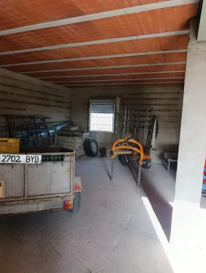 Finca rústica de 30.771 m2 con 500 almendros, 35 oliveras y almacén en Bullas