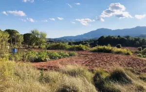 Finca Rústica con Amplias Posibilidades