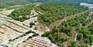 HACIENDA RUSTICA CON CASA CORTIJO - MORATALLA