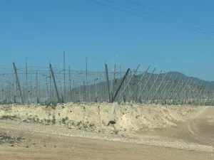 FINCA EN ALHAMA DE MURCIA