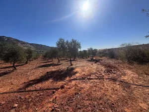 finca regadio y secano