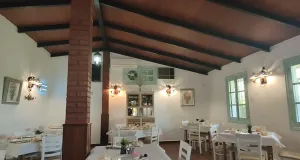 Complejo turístico "El Campito" - Zafra (Badajoz)