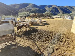 Riogordo - Colmenar 262,3 Ha Cortijo Napolín