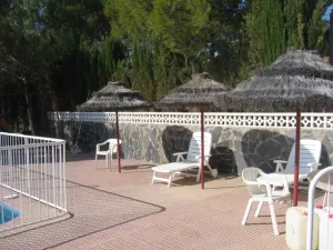 FINCA DE OLIVOS CON RIEGO POR GOTEO
