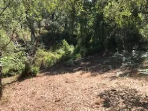 FINCA EN VENTA EN SIERRA DE ARACENA Y PICOS