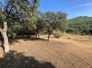 Finca de Recreo y Caza