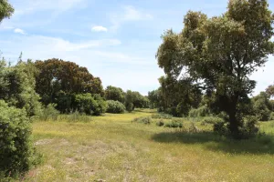 Finca recreo en Valladolid, junto AVE, 1530