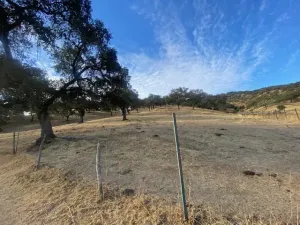 finca ganadera en el término de la nava,