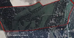 FINCA DE RECREO CON INSTALACIONES ECUESTRES
