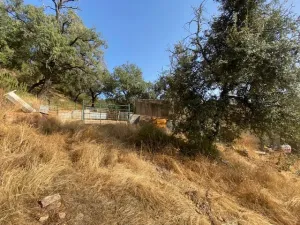 FINCA EN LA NAVA