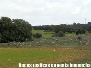 finca en venta 186 has. labor caza menor