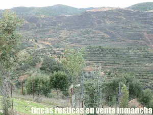 finca en venta 216 has. Recreo Ganadera