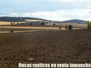 finca en venta 350 has. labor secano olivar