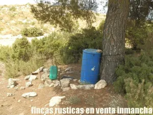 finca en venta 464 has. labor monte Albacete
