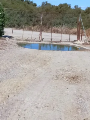 GRANJA DE TRANSICIÓN 2313 PLAZAS