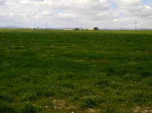 FINCA EN JUILLA