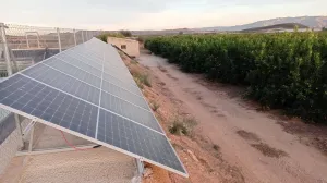 FINCA DE REGADÍO DE LIMONEROS EN MULA