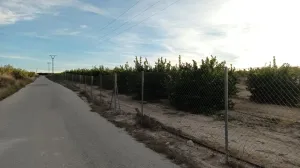 FINCA DE REGADÍO DE POMELOS EN FTE. LIBRILLA