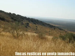 finca venta 326 has labor ganadera en Almagro