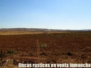 finca en venta 184 has. labor riego Belmonte