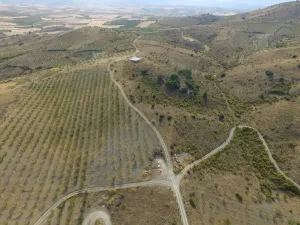 Finca agricola, cinegetica y recreo