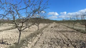 Finca de 300 Hectáreas