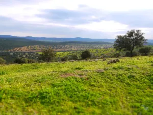 Magnifica finca de 275 ha