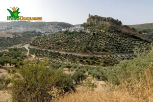 PRECIOSO TERRENO DE RECREO EN MONTEFRIO