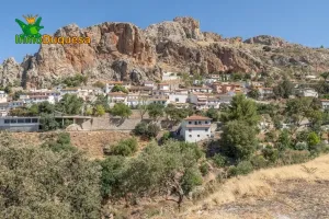 Terreno RÚSTICO con cortijo en Cogollos Vega