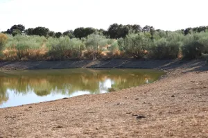 Finca Ganadera De 800ha Cerca De Cáceres