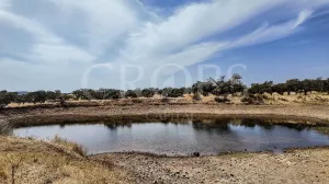 Finca ganadera en Los Baldíos (Badajoz)