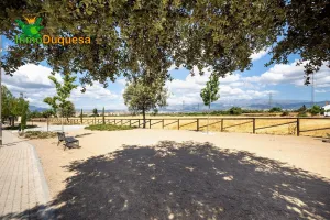 Terreno rústico de 5000 m²