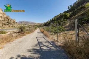 Finca rústica en  término de VELEZ DE BENAUDALLA.