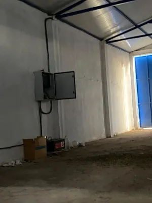 [gestifincarustica] - almendros regadio