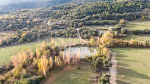 Finca con casa para rehabilitar en el Pirineo