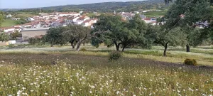 Finca rustica junto al pueblo