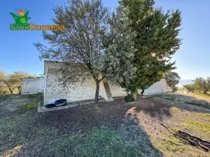 HAZNOS TU OFERTA DE PRECIO!!! Finca rustica de 116,40 hectareas de OLIVAR en Loja.